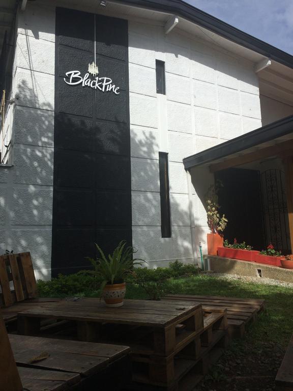 Blackpine Hostel Medellín Eksteriør bilde