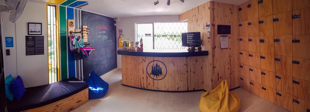 Blackpine Hostel Medellín Eksteriør bilde