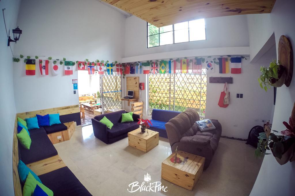 Blackpine Hostel Medellín Eksteriør bilde