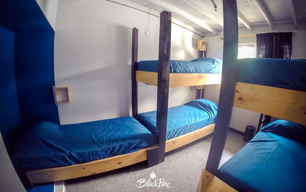 Blackpine Hostel Medellín Eksteriør bilde