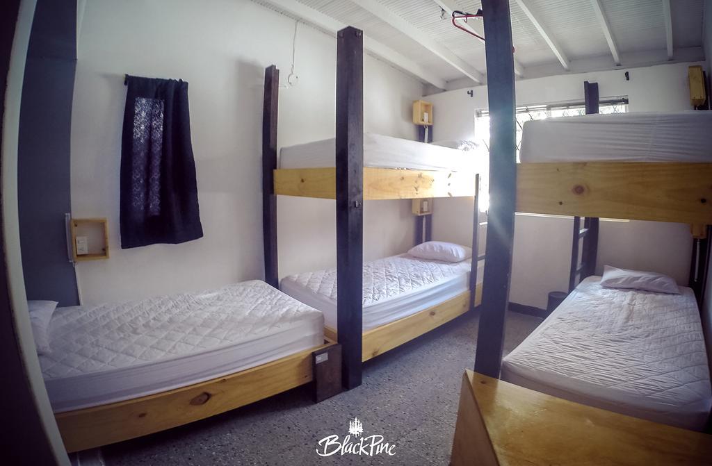Blackpine Hostel Medellín Eksteriør bilde