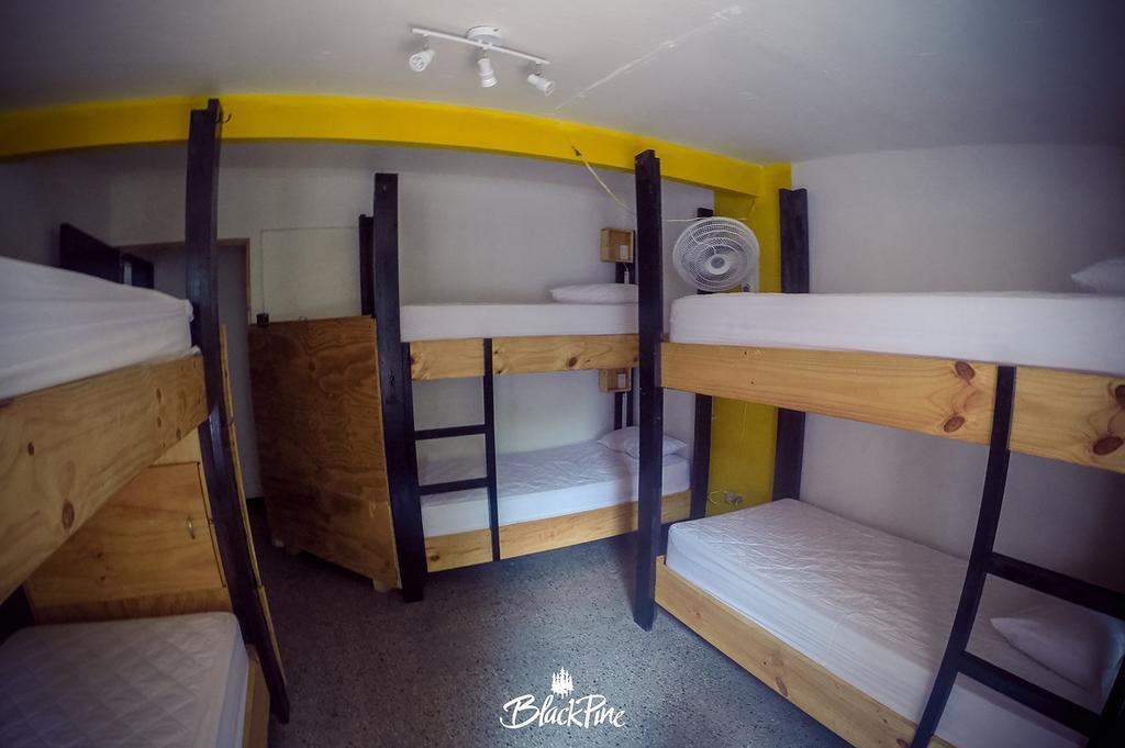 Blackpine Hostel Medellín Eksteriør bilde