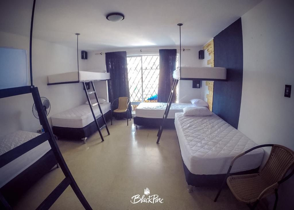Blackpine Hostel Medellín Eksteriør bilde