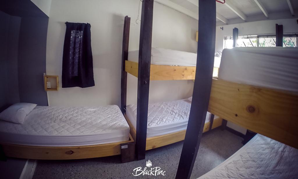 Blackpine Hostel Medellín Eksteriør bilde