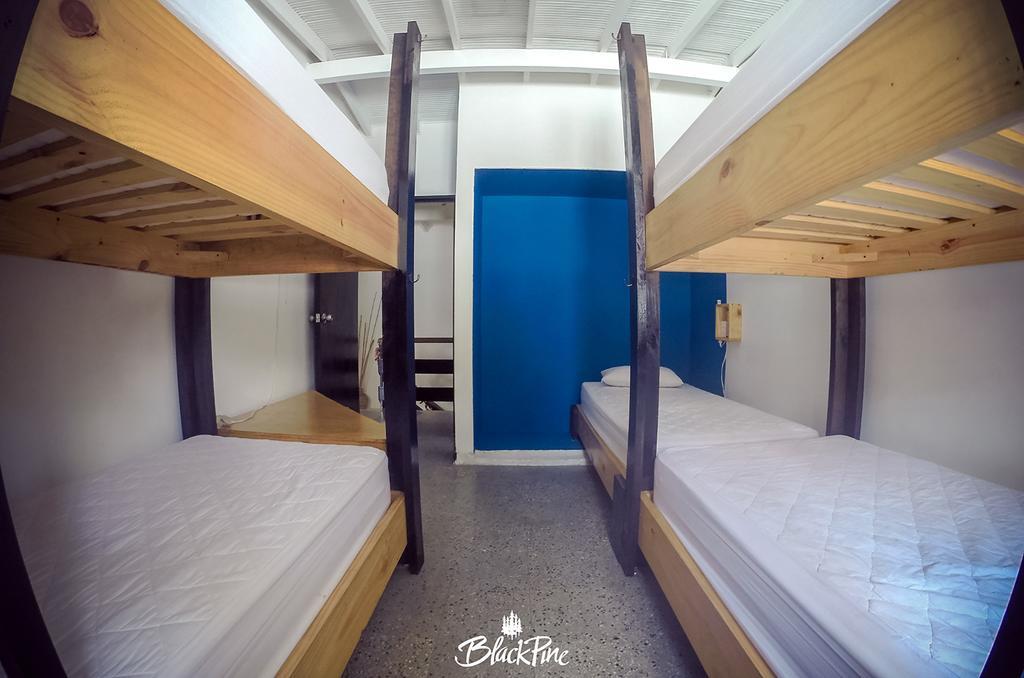 Blackpine Hostel Medellín Eksteriør bilde